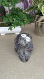 Fluorite Root Skull