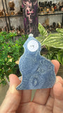 Blue Coral Fossil Points