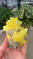 Sulfur Quartz