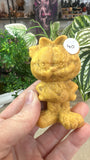 Yellow jade Garfield