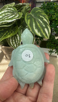 Caribbean calcite turtle