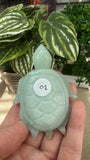 Caribbean calcite turtle