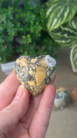 Maligano Jasper hearts