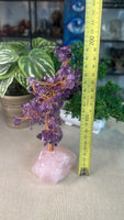 Amethyst Money Tree with Rose Quartz Base