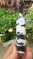 Zebra Jasper