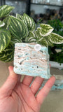 Blue Aragonite Slices