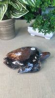 Ocean Jasper Turtle