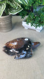 Ocean Jasper Turtle
