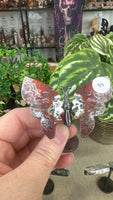 Butterfly Wings