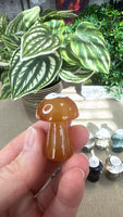 Crystal Mushrooms