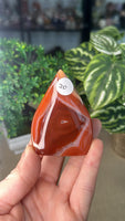 Carnelian Free Forms