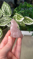 Rose Quartz Wolf