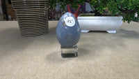 Angelite Egg