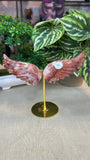 Fire Quartz Wings
