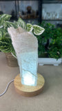 Raw Selenite Light