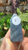 Blue Coral Fossil Points
