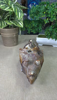 Ocean Jasper Triceratops