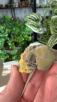 Bumble Bee Jasper Skull