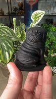 Obsidian Pug