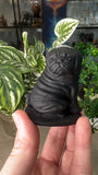 Obsidian Pug