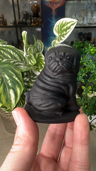 Obsidian Pug