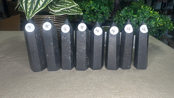 Shungite Points