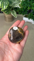 Black Moonstone Palm Stone