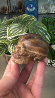 Chocolate calcite skull