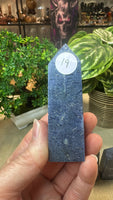 Blue Coral Fossil Points