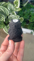 Obsidian Owl