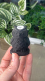 Obsidian Owl