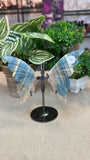 Blue Onyx Butterfly Wings