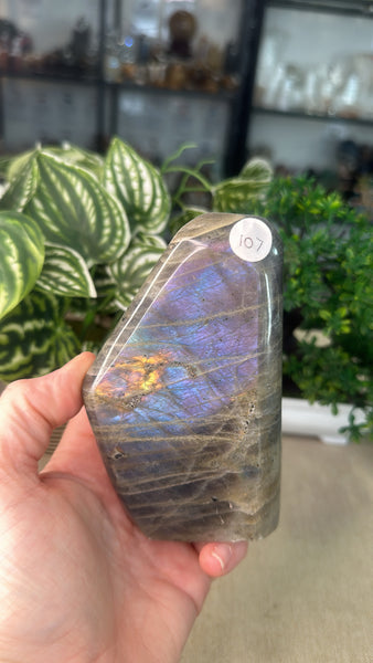 Labradorite Free Form