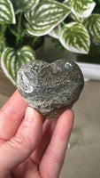 Moss Agate Heart