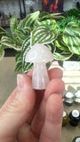 Crystal Mushrooms