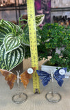 Small Butterfly Wings