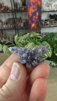 Amethyst cluster butterflies