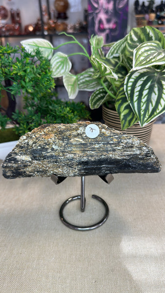 Black tourmaline with mica