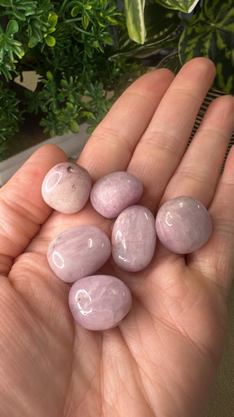 Kunzite Tumble Stones