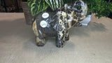 Picture Jasper Elephant