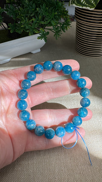 Blue Apatite Bracelet 10mm