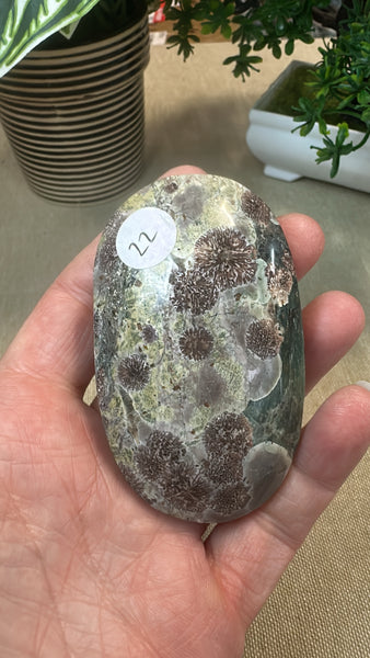 Green flower Jasper Palm stone