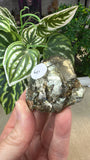 Pyrite Renison Ball