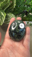 Kambaba Jasper Palm Stones