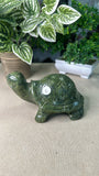 Green Jade Turtle