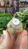 Garden Quartz Points