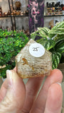 Garden Quartz Points