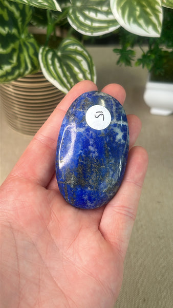 Lapis Palm Stone