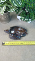 Ocean Jasper Turtle