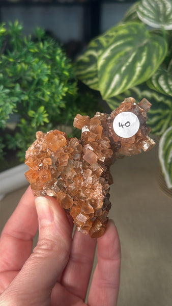 Raw Aragonite